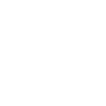 User Adoption