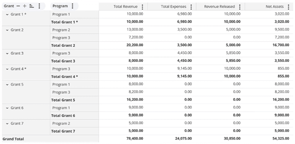 NetSuite SuiteAnalytics Grant Tracking