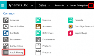 Auditing pic 4 Viewing audit history in Dynamics 365