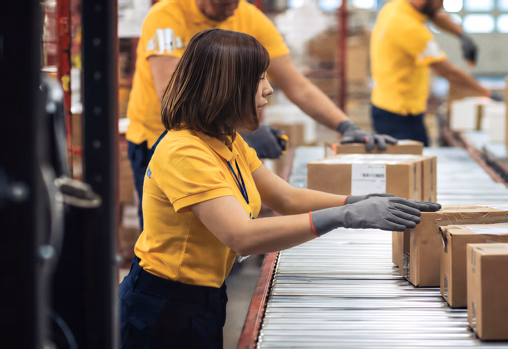Wholesale Distribution