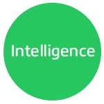 Sage Intelligence