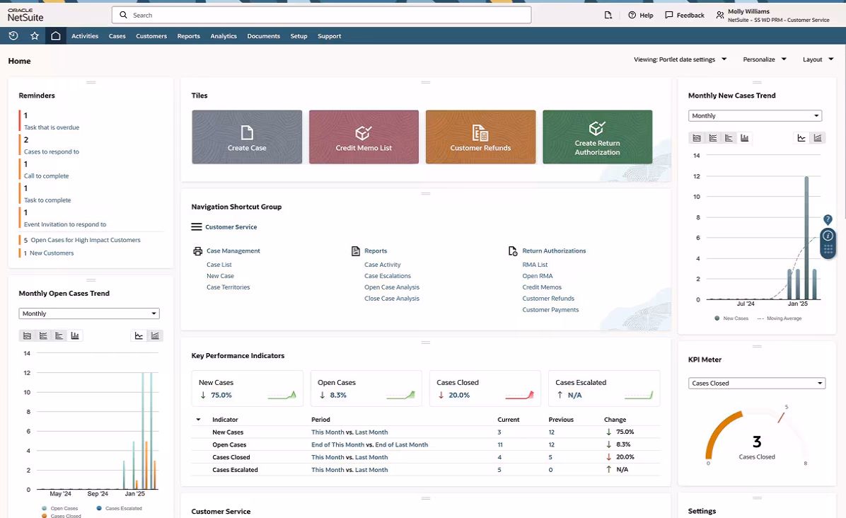 NetSuite CRM - Customer Service NetSuite CRM - Customer Service